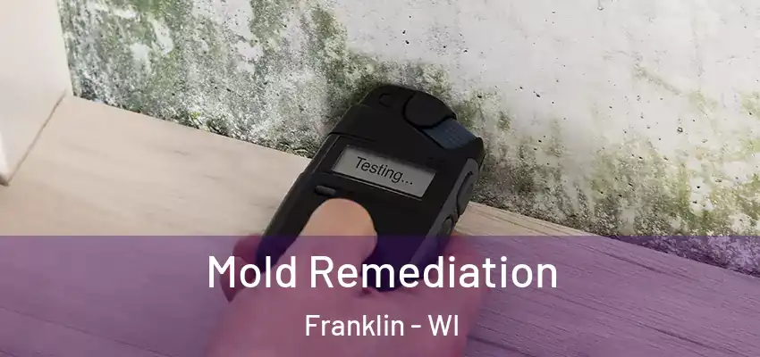  Mold Remediation Franklin - WI