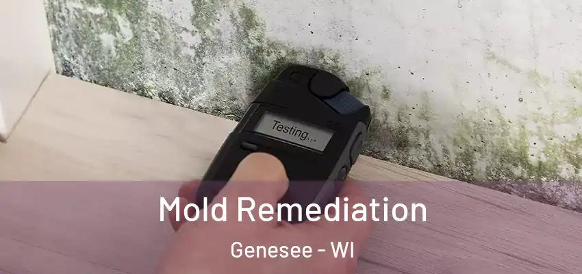  Mold Remediation Genesee - WI