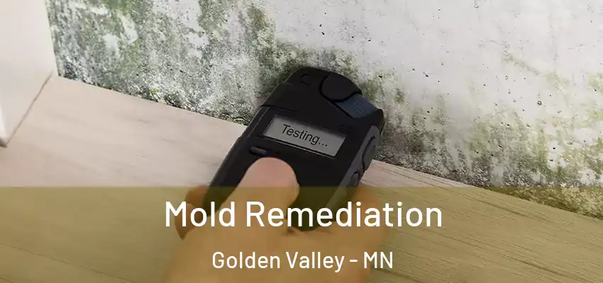  Mold Remediation Golden Valley - MN