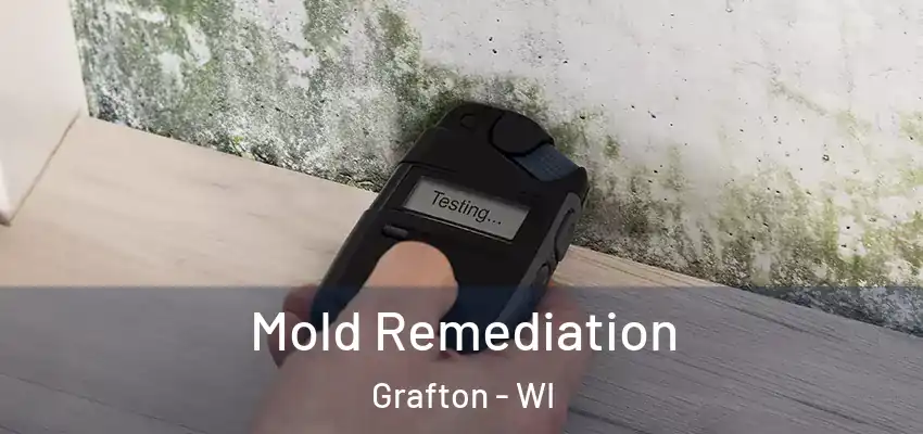  Mold Remediation Grafton - WI