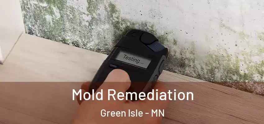  Mold Remediation Green Isle - MN