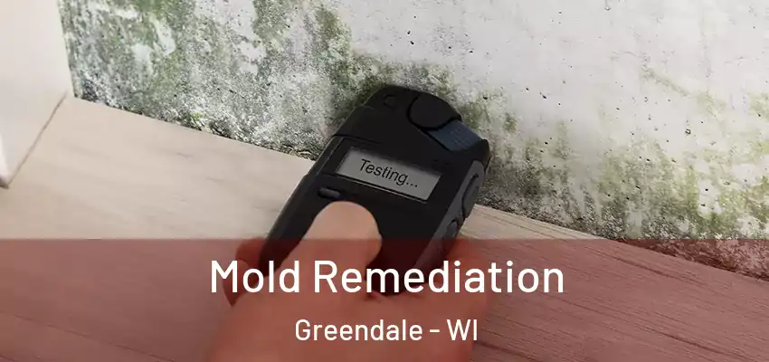  Mold Remediation Greendale - WI