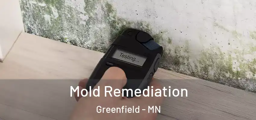  Mold Remediation Greenfield - MN