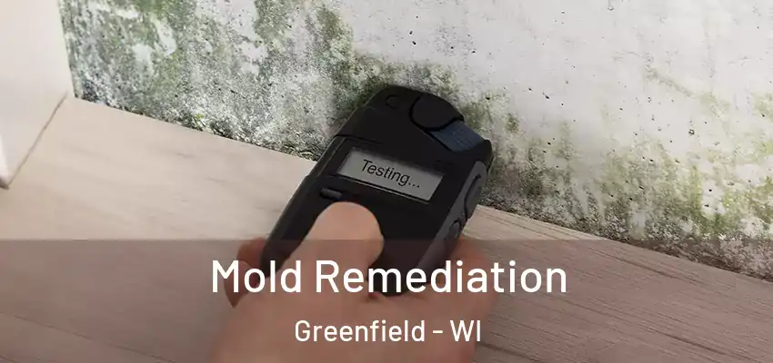  Mold Remediation Greenfield - WI