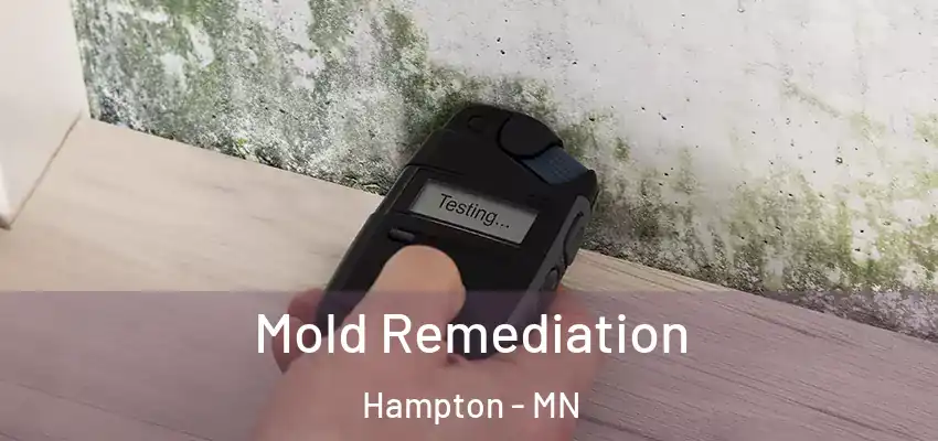  Mold Remediation Hampton - MN