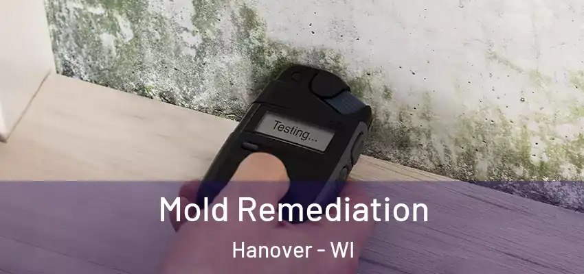  Mold Remediation Hanover - WI