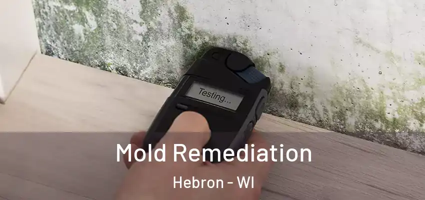  Mold Remediation Hebron - WI