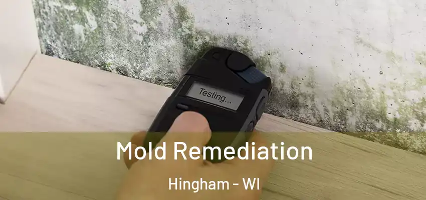  Mold Remediation Hingham - WI