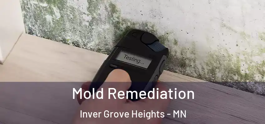  Mold Remediation Inver Grove Heights - MN