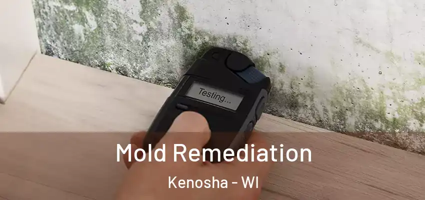  Mold Remediation Kenosha - WI