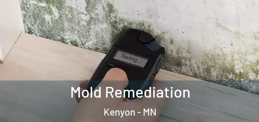 Mold Remediation Kenyon - MN