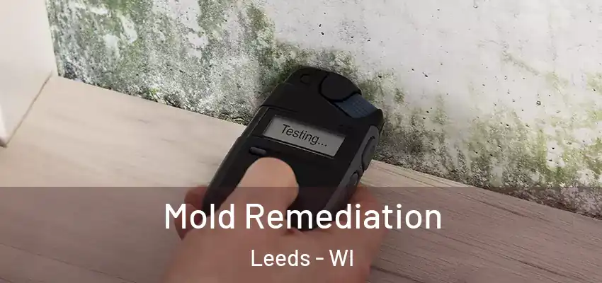  Mold Remediation Leeds - WI