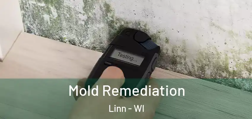  Mold Remediation Linn - WI