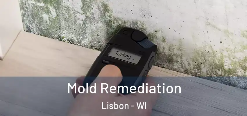  Mold Remediation Lisbon - WI