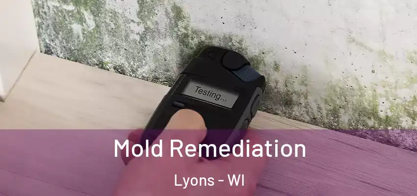  Mold Remediation Lyons - WI