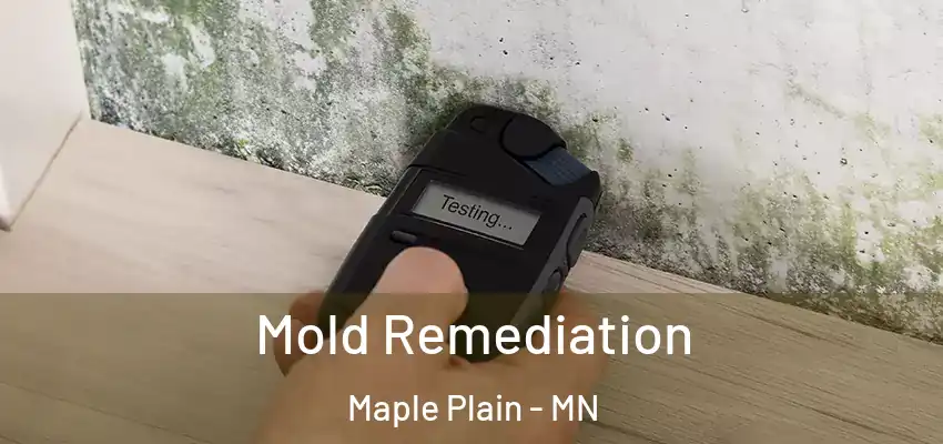Mold Remediation Maple Plain - MN
