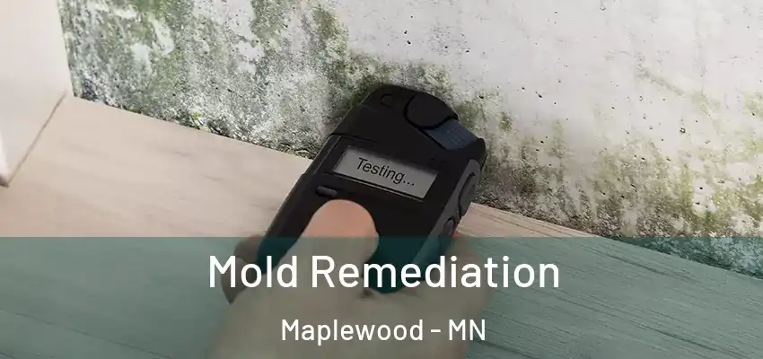  Mold Remediation Maplewood - MN