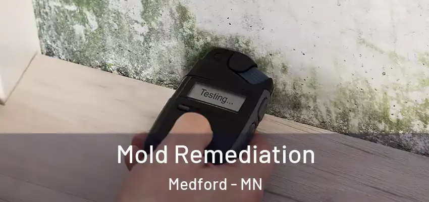  Mold Remediation Medford - MN