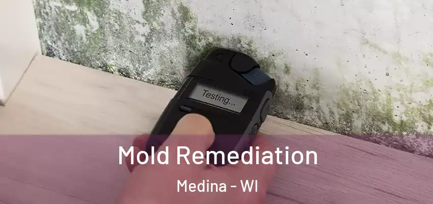 Mold Remediation Medina - WI