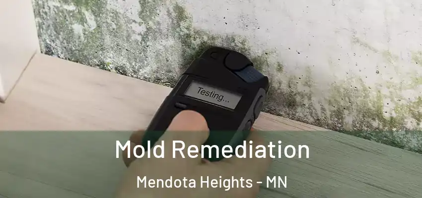 Mold Remediation Mendota Heights - MN