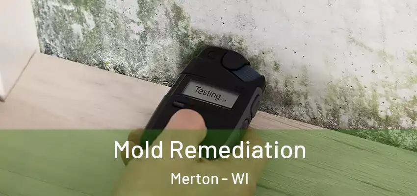  Mold Remediation Merton - WI