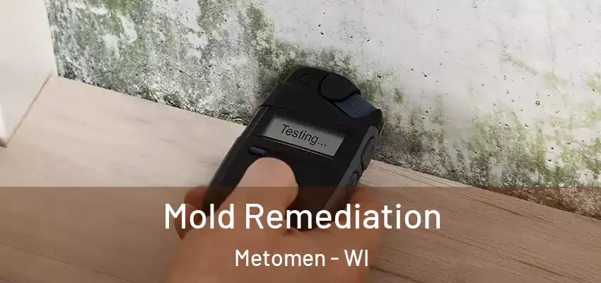  Mold Remediation Metomen - WI