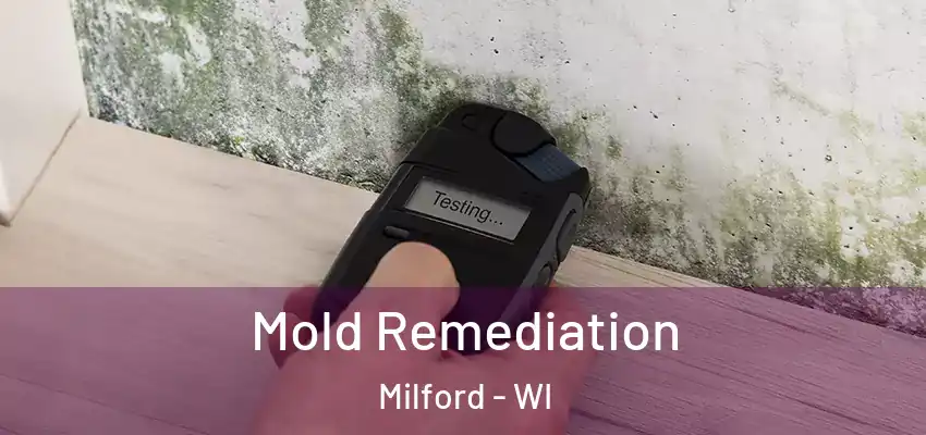 Mold Remediation Milford - WI