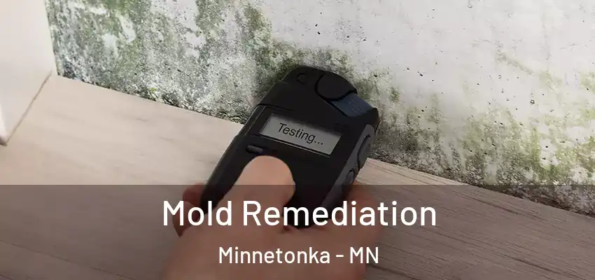  Mold Remediation Minnetonka - MN