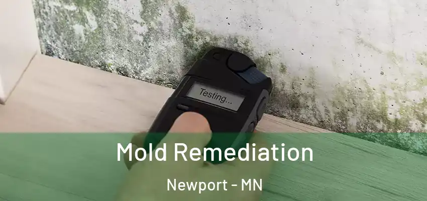  Mold Remediation Newport - MN