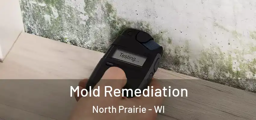  Mold Remediation North Prairie - WI