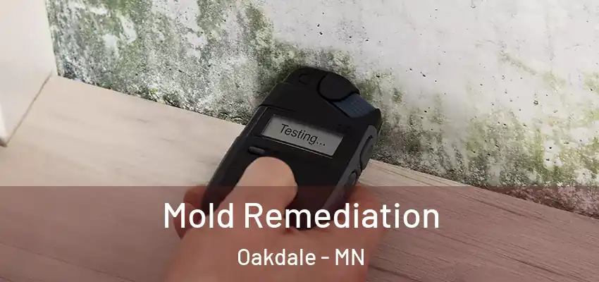  Mold Remediation Oakdale - MN