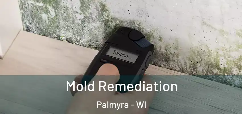  Mold Remediation Palmyra - WI
