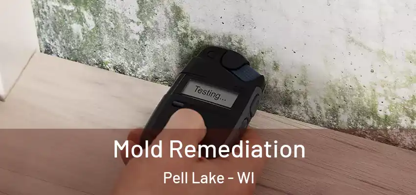  Mold Remediation Pell Lake - WI
