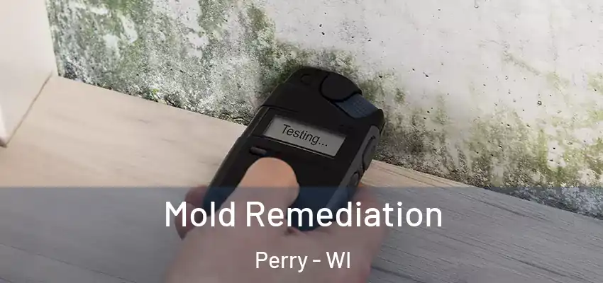  Mold Remediation Perry - WI