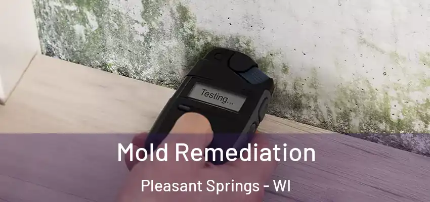  Mold Remediation Pleasant Springs - WI