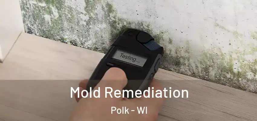  Mold Remediation Polk - WI