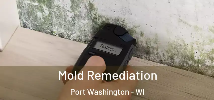  Mold Remediation Port Washington - WI