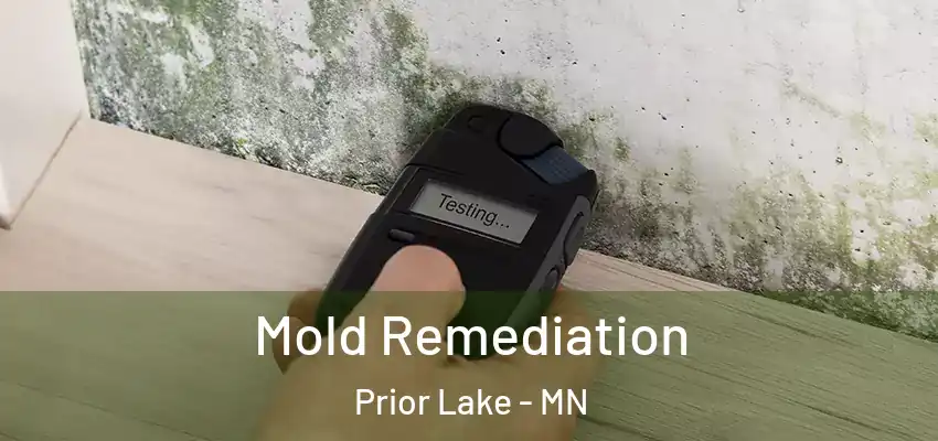  Mold Remediation Prior Lake - MN