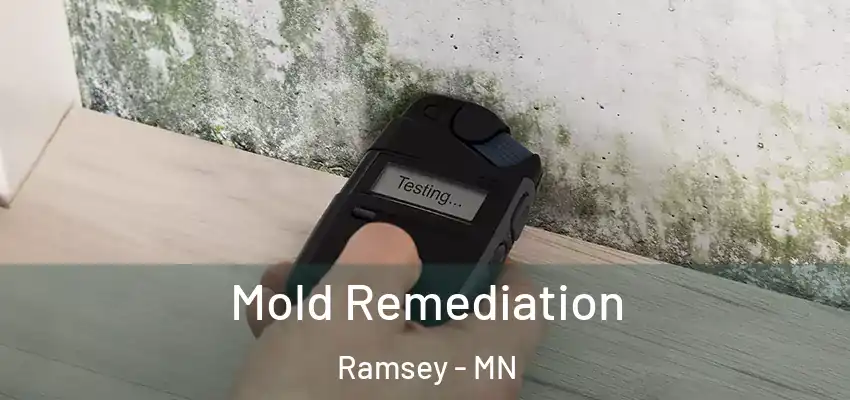  Mold Remediation Ramsey - MN