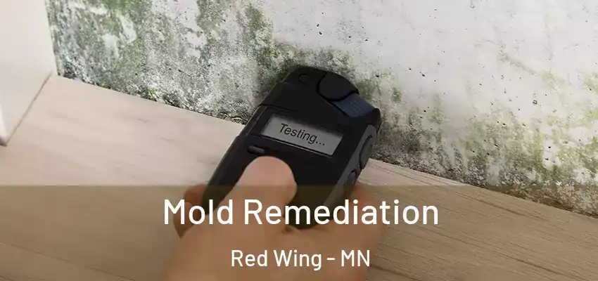  Mold Remediation Red Wing - MN