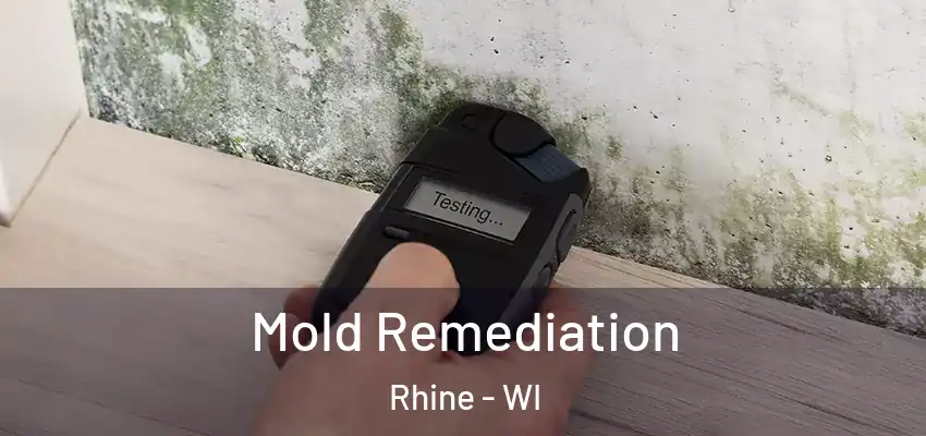  Mold Remediation Rhine - WI