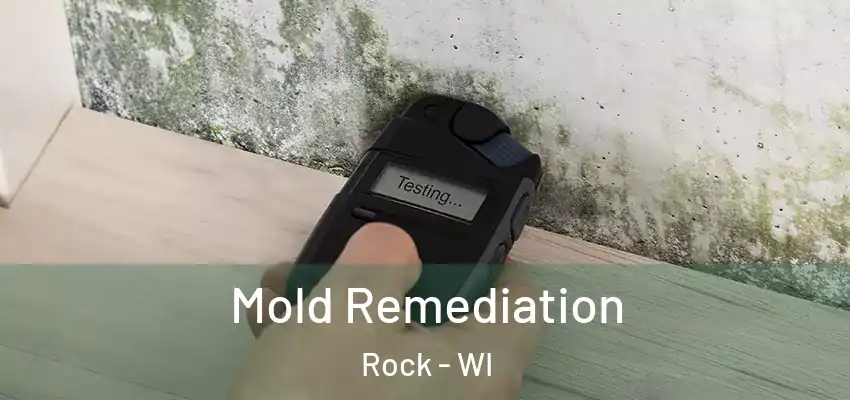  Mold Remediation Rock - WI