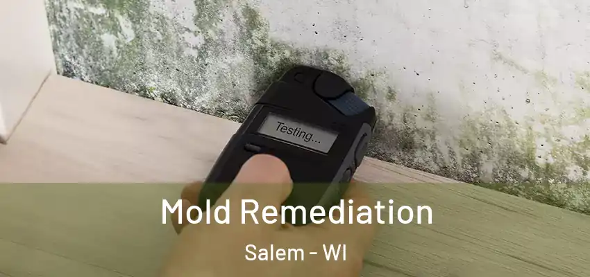  Mold Remediation Salem - WI