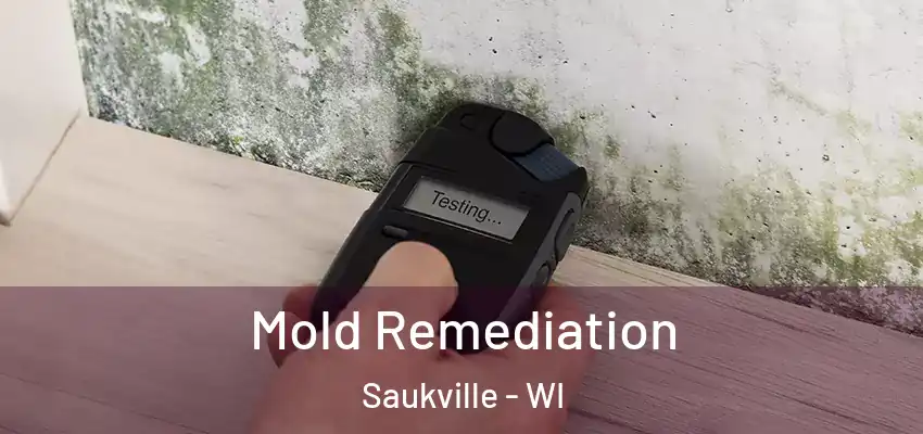  Mold Remediation Saukville - WI