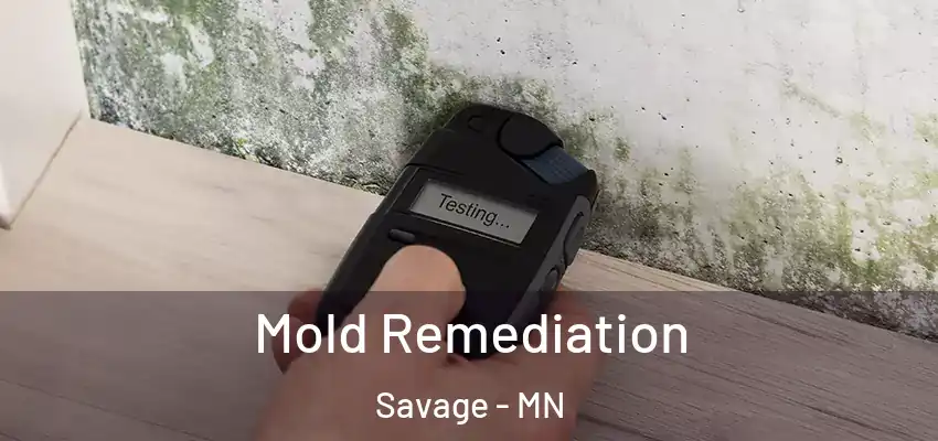  Mold Remediation Savage - MN