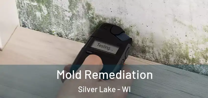  Mold Remediation Silver Lake - WI
