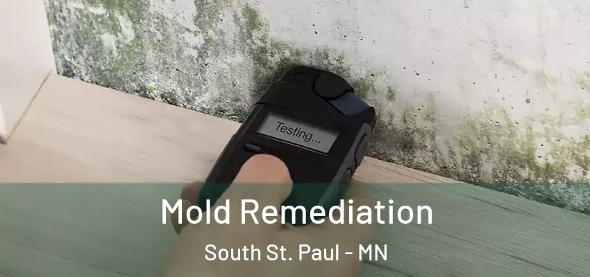  Mold Remediation South St. Paul - MN