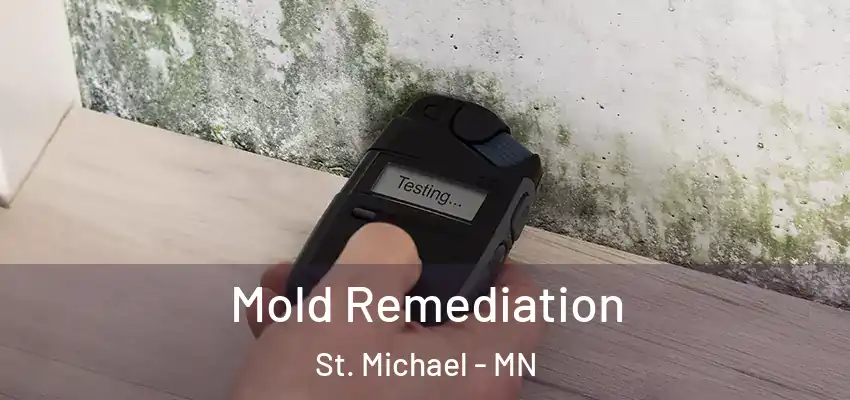  Mold Remediation St. Michael - MN