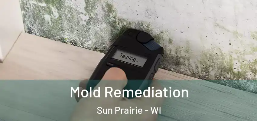 Mold Remediation Sun Prairie - WI