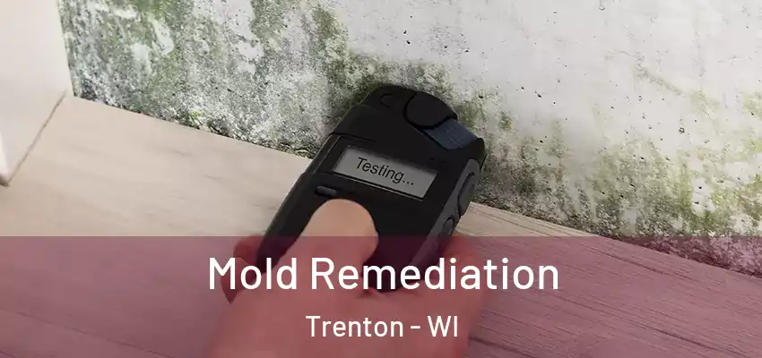  Mold Remediation Trenton - WI